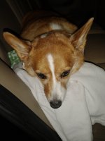 IMG_20260527_223320803.jpg