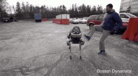 1780193464178.gif