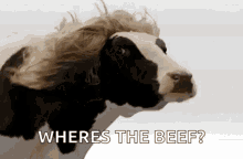 1780257637330.gif