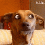 1781555613937.gif