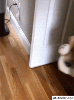 1781884145254.gif