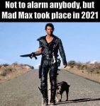 1604860779495.png