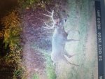 20201102_081032.jpg