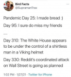 pandemic days.png