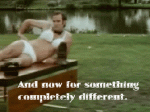2AF17792-B5AB-485F-9697-3500EA961D6D.gif