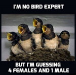 1615223414500.png