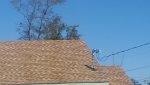 20210309_101705.jpg