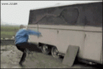 Rooster 2.gif