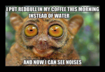 1617357518590.png