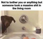 1618584193079.png
