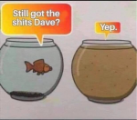 1623111437738.png