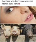 1623720424119.png