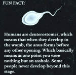 1624098423134.png