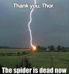 1626218035581.png