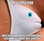 E15E1792-B156-48E7-A051-51EC2859FF3A.jpeg