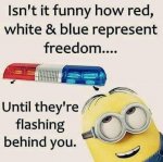 FB_IMG_1626815322797.jpg