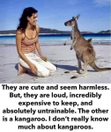 1627846100230.png