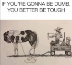 1627923747080.png