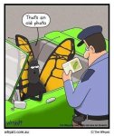FB_IMG_1629334959203.jpg