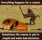 1629716561094.png