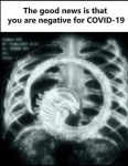 1629975190244.png