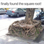1630249846572.png