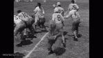FaithfulLegitimateAngelwingmussel-max-1mb.gif
