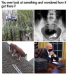 1630950604625.png
