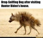 FB_IMG_1630969751595.jpg