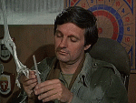 A cinci.gif