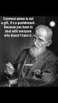 1631566219694.png