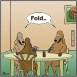 FB_IMG_1631647943552.jpg