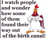1633863528834.png