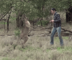 AAA giph.gif