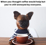 1636558989968.png