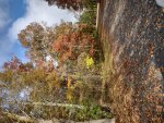 IMG_20211112_100033616_HDR.jpg