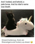 1637337197702.png