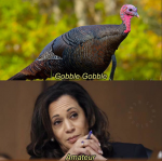1638410229174.png