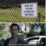 1639492692778.png