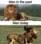 FB_IMG_1641688512176.jpg