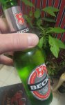 20220110_191249.jpg