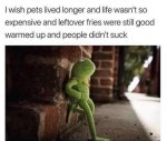 IMG_0037.jpg