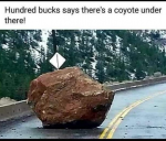 1642401841547.png