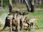1642798343157.png
