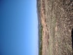 IMG_20220130_140520138.jpg