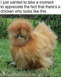 1643842396116.jpeg
