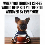 1644407659422.png