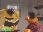BossyFoolhardyAfricanbushviper-max-1mb.gif