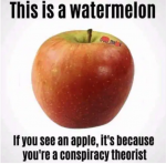 1644943555263.png