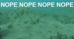 85982148-20BB-4CB8-9B8C-DD889644C224.gif
